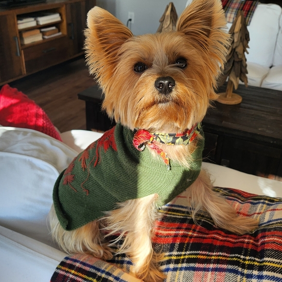 Meet your Posher, Elle in Chanel Girl for Life - Picture 3 of 3